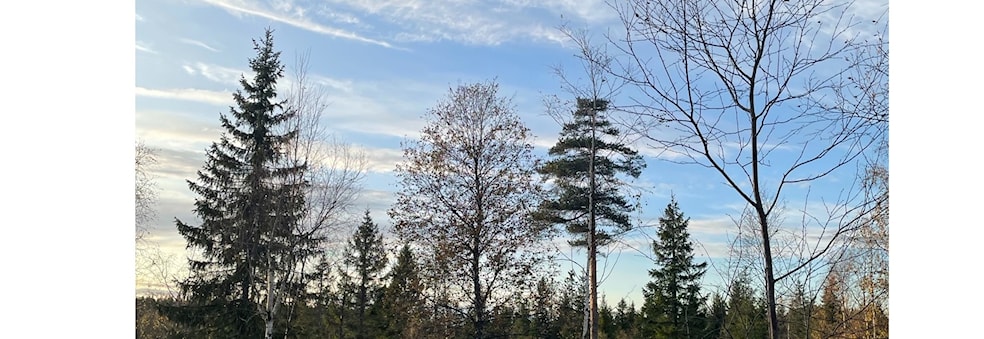 Frognerseteren til Ullevålseter og Sognsvann